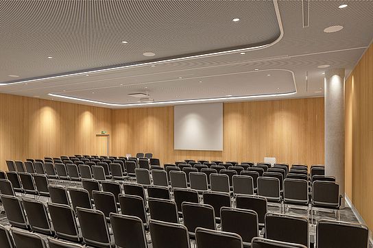CCH Hall Y - Division of six, row seating / © Planning Consortium agnLeusmann with TIM HUPE Architects, Hamburg