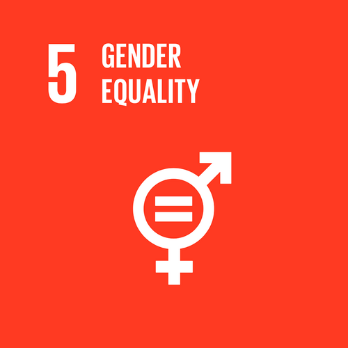 5 GENDER EQUALITY 5 GENDER EQUALITY