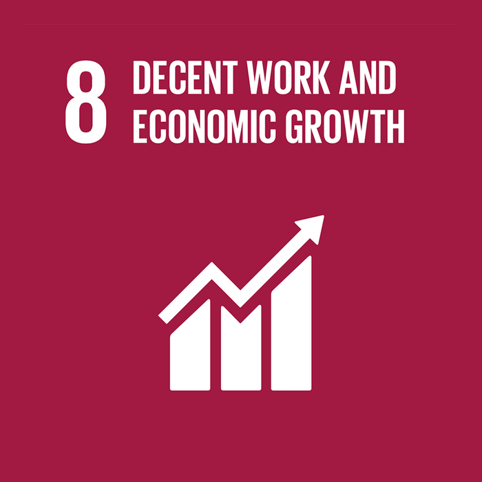 8 DECENT WORK AND ECONOMIC GROWTH 8 DECENT WORK AND ECONOMIC GROWTH
