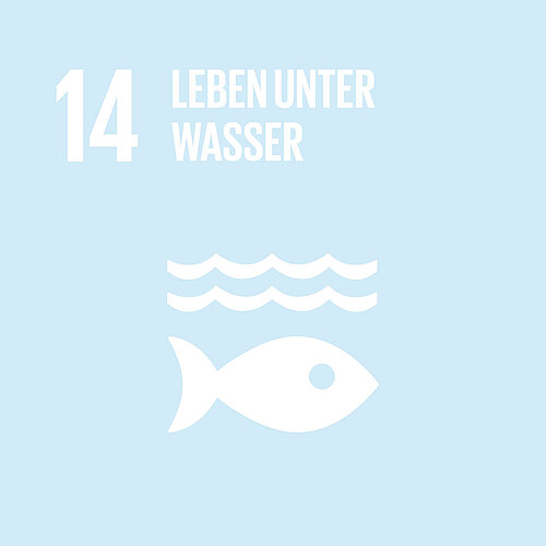 14 LEBEN UNTER WASSER