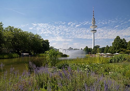 Planten un Blomen im Hintergrund der Hamburger Fernsehturm © Mediaserver Hamburg / Christian Spahrbier 