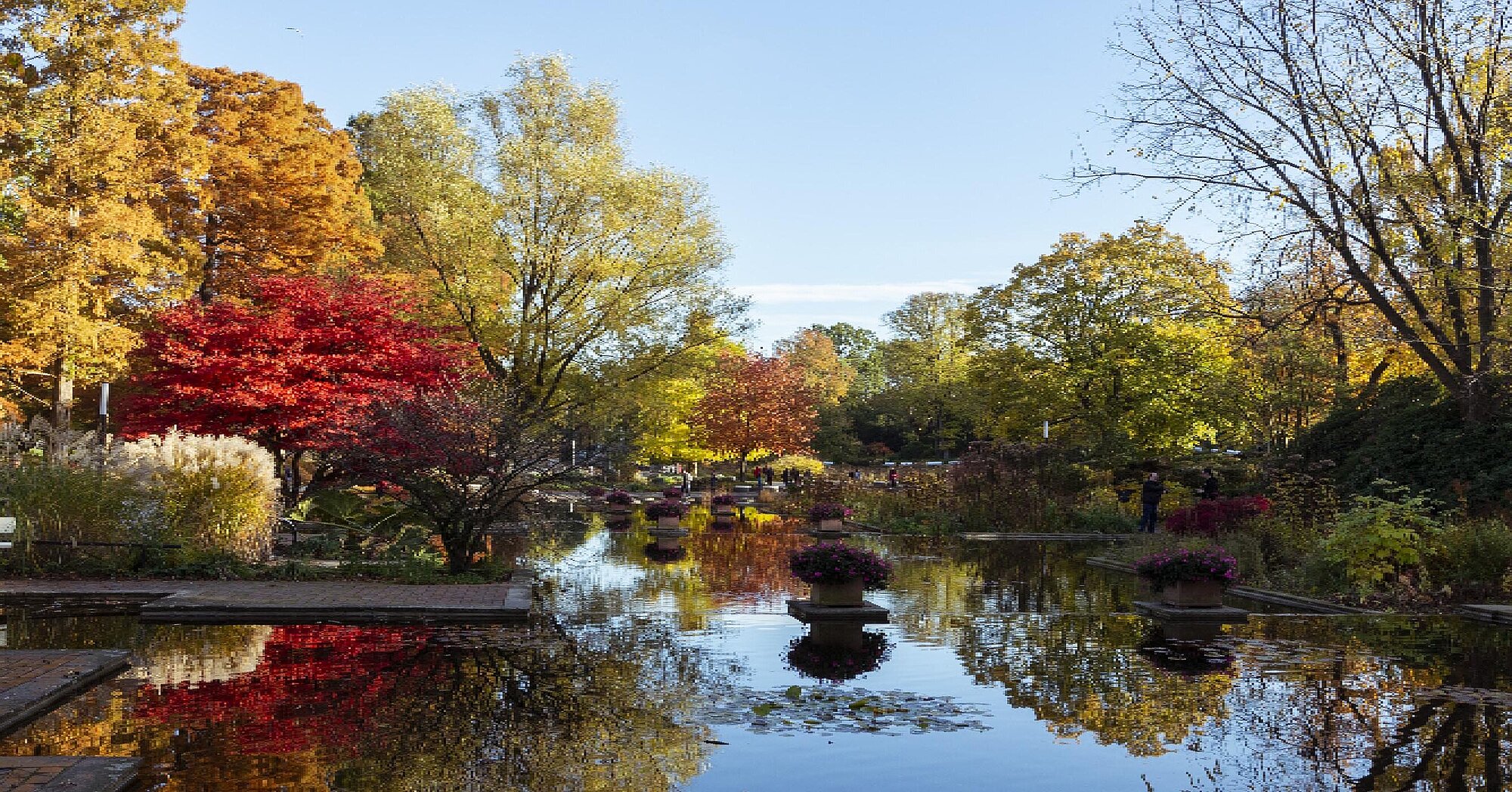 Planten un Blomen Park - CCH