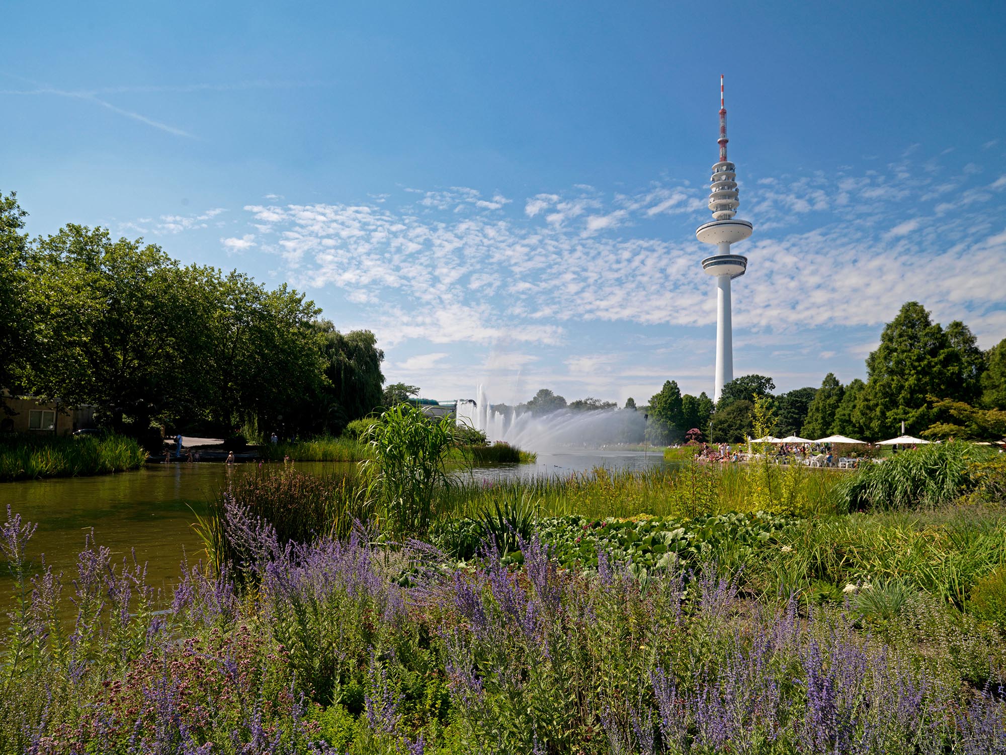 Planten un Blomen, im Hintergrund der Hamburger Fernsehturm © Mediaserver Hamburg / Christian Spahrbier Planten un Blomen, im Hintergrund der Hamburger Fernsehturm