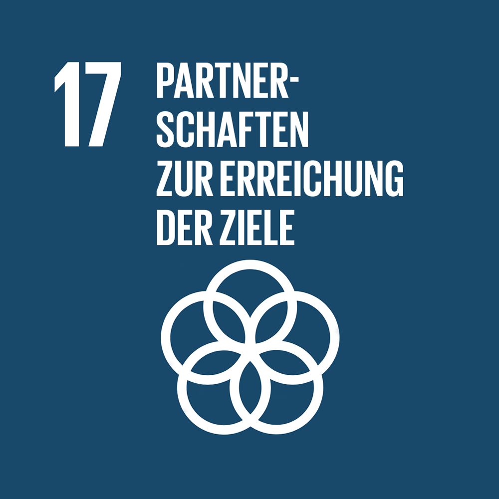 17 PARTNERSCHAFTEN ZUR ERREICHUNG DER ZIELE 17 PARTNERSCHAFTEN ZUR ERREICHUNG DER ZIELE