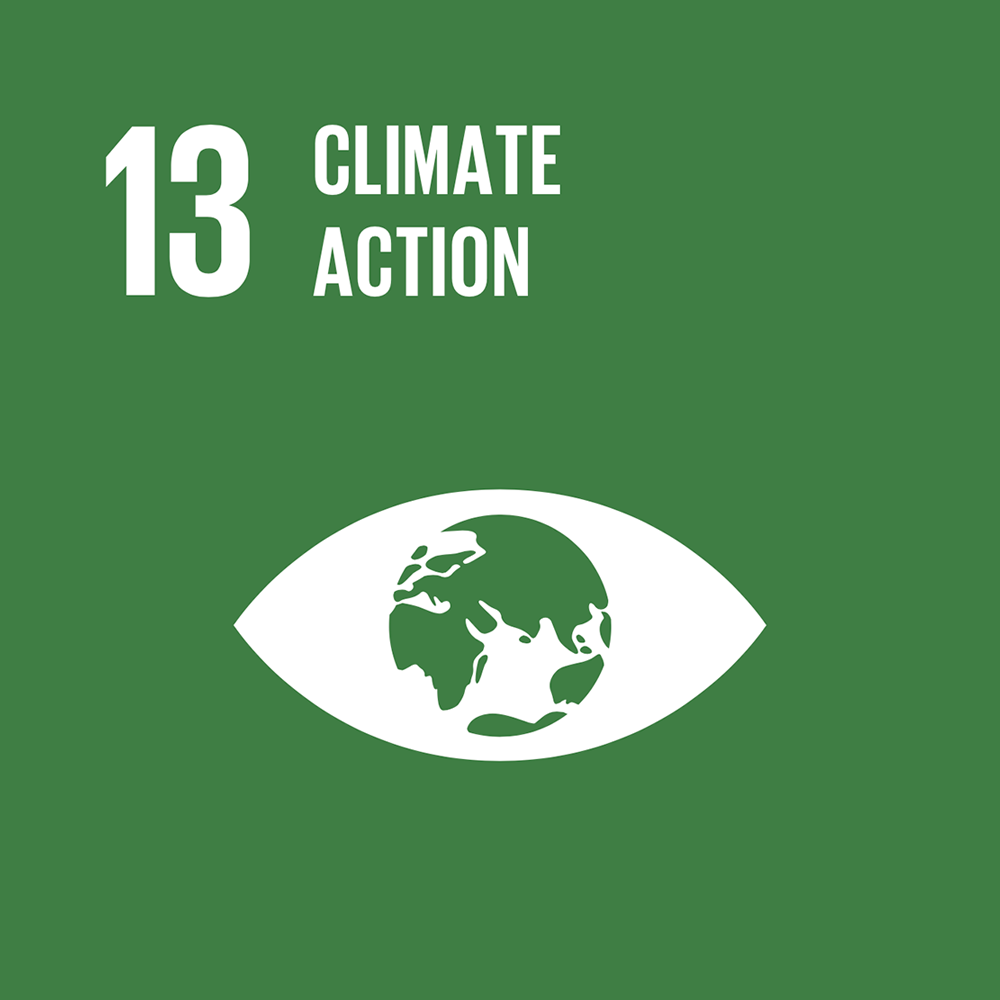 13 CLIMATE ACTION 13 CLIMATE ACTION