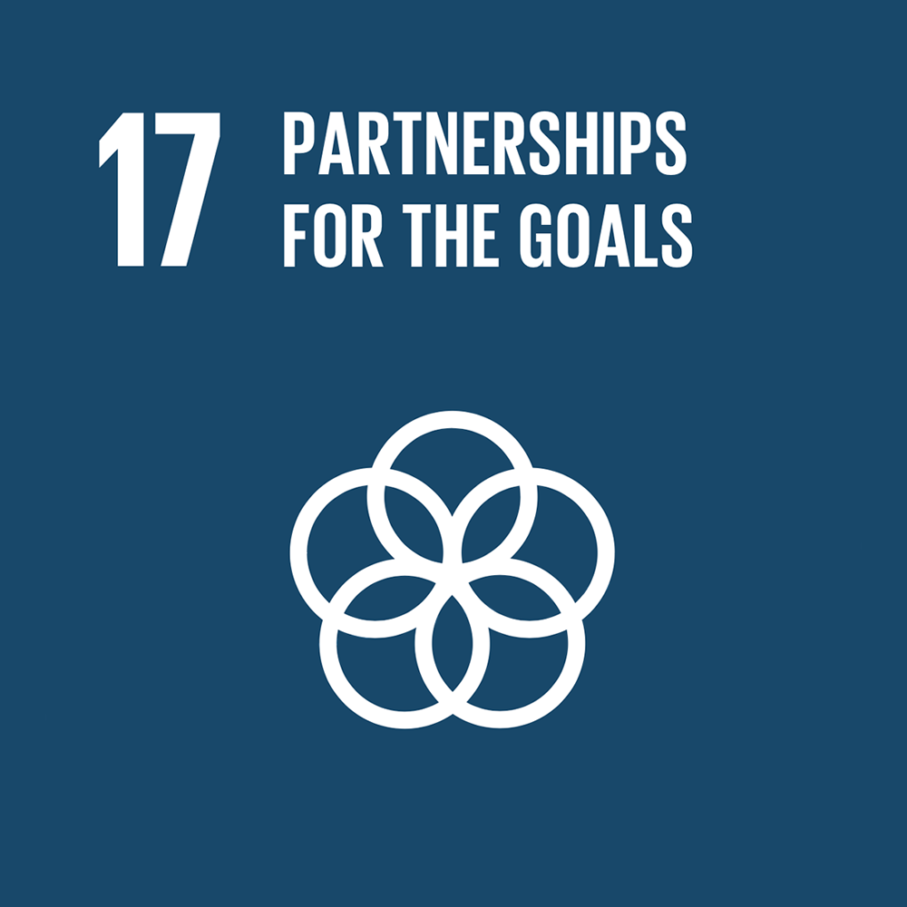 17 PARTNERSHIPS FOR THE GOALS